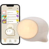 coemo Japanese Toy Awards 2022 Educational Toy Division Award Award Award