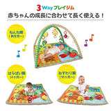 Japanese Nursery Baby Gym, Harapeko Baby Gym, Activity Play Gym, For Newborns, Can Be Used As The Growth Process