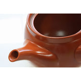 Tokoname Ware Tea Pot, Flat Net, For Deep Steaming, Approx. 360cc