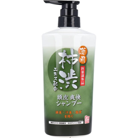 Medicated Shampoo Max Refreshing Scalp Contains Persimmon Shibu Extract Peppermint Scent 450mL x 6 Bottles