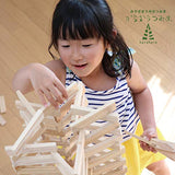 Karatatsumiki 108 (9 x 27 x 108 mm) 120 Pieces Educational Toy, Made in Japan, Unpainted Wooden Toy