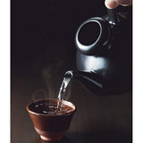 TESCOM SK31 Sake Bowl