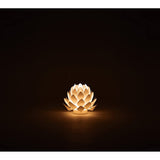 Kameyama Origami-lite Lantern Lotus XS (Indirect Lighting)