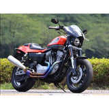 Chic design (CHIC DESIGN) Galeable Bird Shield Bullberd Clear XR1200 (09-) GS59B Screen