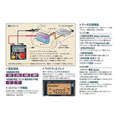 Digital Insulation Resistance Meter, SK - 3502