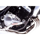 Gold Medal ZR250A/ZR250B Balius Balius-2 SGK02-1 Slash Guard, Standard, Aluminum, Buffed Finish