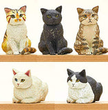 Hashimotomio Cat Sculpture (Complete Set of 5 Types)