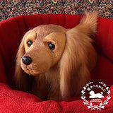 Ninia and Kino Sleeping Dog Dachshund Long Red Plush Dog Realistic