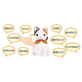 It's xyaberitakkuno Dressing 4 Pcs Set