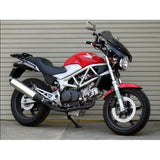 Chic Design Gaira Shield S Clear VTR250 FI (09-) GS34BS Screen