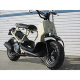 RINPARTS (Lymphates) Projector Head Light Rainbow 1106001