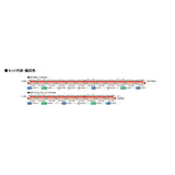 TOMIX HO Gauge HO6025 National Railway Train Salo 481 (489) Type Initial Model Train