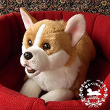 Ninia and Kino Sleeping Dog Corgi Plush Dog Realistic