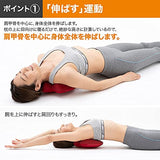 Fukutsuji Style Shoulder Blade Stretch Pillow (red)