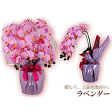 Kobe Hanatari cotyoran-3-lv Artificial Flowers, Artificial Phalaenopsis Pattern, 3 Flowers, Lavender, CT Catalytic Treatment, H 23.6 x W 17.7 inches (60 x 45 cm)