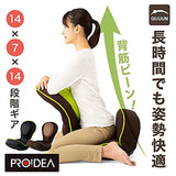 GUUN Back Muscles 0070-4081 Personal Beautiful Posture Chair