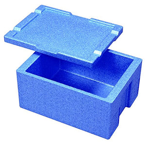 daikyuu Delivery & Catering Heat Preservation Cold Insulation Container Blue RH – 20