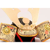 ryuukodou May Doll Fabric Helmet Small frontage 16 cm X Depth 12 cm X Height 21 cm