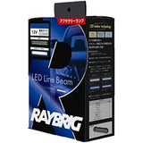RAYBRIG LED line beam 12V 0.7W White direct light type LD51