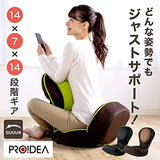 GUUN Back Muscles 0070-4081 Personal Beautiful Posture Chair