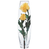 Lexan De Reve Feather Rose Pack-In Glass Double (Small, 1 Large, 1 Bottle) Yellow WL 0302G Y