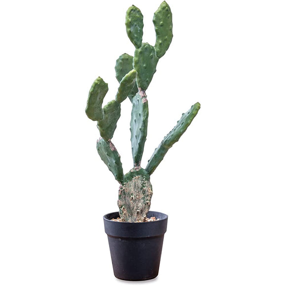 Posh Living 80980 Artificial Flowers, Cactus Pot, 12.0 x 7.7 x 22.8 inches (30.5 x 19.5 x 58 cm)