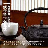 Logistics Associates Nambu Ironware Teapot (Arare Dome 0.4L - Noren Original, Brown, Teapot, Color Pot, Iron Kettle, Iron Teapot, Made in Japan, Enameled Inner Treatment, Tea Strainer, Traditional Crafts, Japanese Tea Pot Souvenir Nambu Ironware Teapot