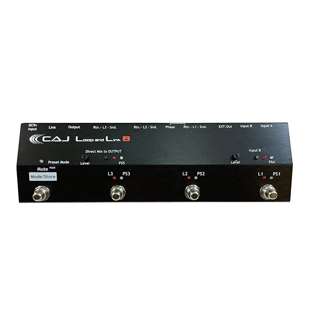 CAJ Custom Audio Japan Programmable Effect Loop Switcher Loop and