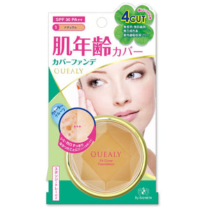 Query Fit Cover Foundation 1