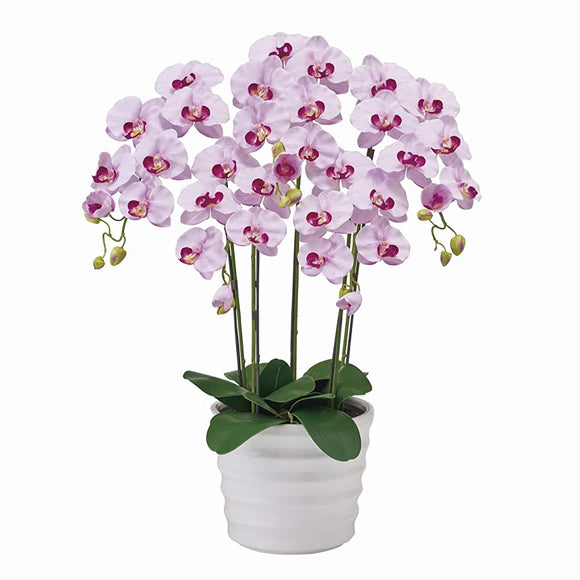 Tokyodo ZV06500W-050 Artificial Flowers, #Lavender, W 19.7 x H 28.3 inches (50 x 72 cm), MAGIQ Pure Orchid, 5 Pieces