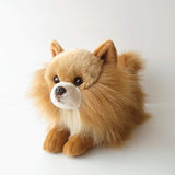 Ninia and Kino Sleeping Dog Pomeranian Plush Toy, Dog, Realistic