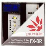 Seabass Link (Seabass Link) PROMINA Promina BMW Institute replacement type LED Foot Lamp & Curteshi Lamp FX-BR Red White PM060