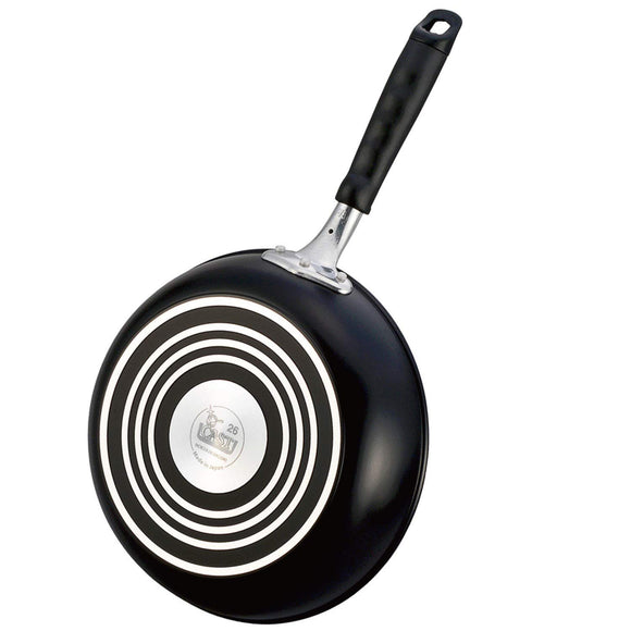 BK Cast Frying Pan, Black, 10.2 inches (26 cm), Teflon Finish, For Gas Only