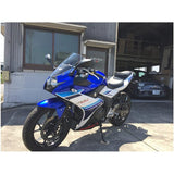 Acry-Point screen street smoke GSX250R 17 160221