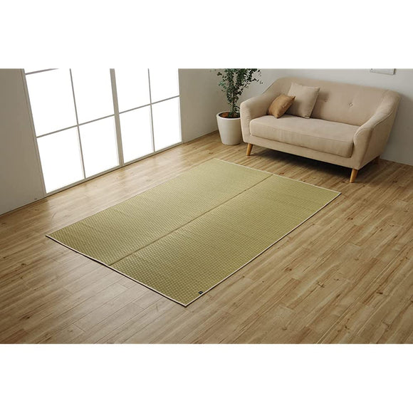 Ikehiko Corporation #8261019 Iplant Rug, Carpet, Plain, Natural, Approx. 55.1 x 78.7 inches (140 x 200 cm), Made in Japan, Grate, Simple, Rectangle, Year-Round