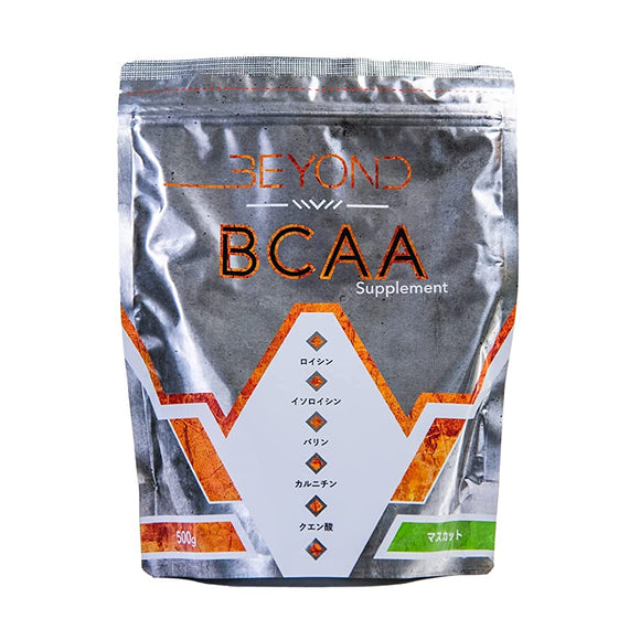 BEYOND Beyond Essential Amino Acids 3 Types BCAA No Artificial Sweeteners No Preservatives No Artificial Colors Muscat Flavor 30 Servings 500g Domestic Production
