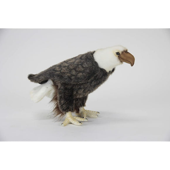 Bald Eagle No.5616 (japan import)