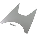 BRIGHTZ Address V100 CE13A CE11A Super Mirror Stainless Step Board 10293