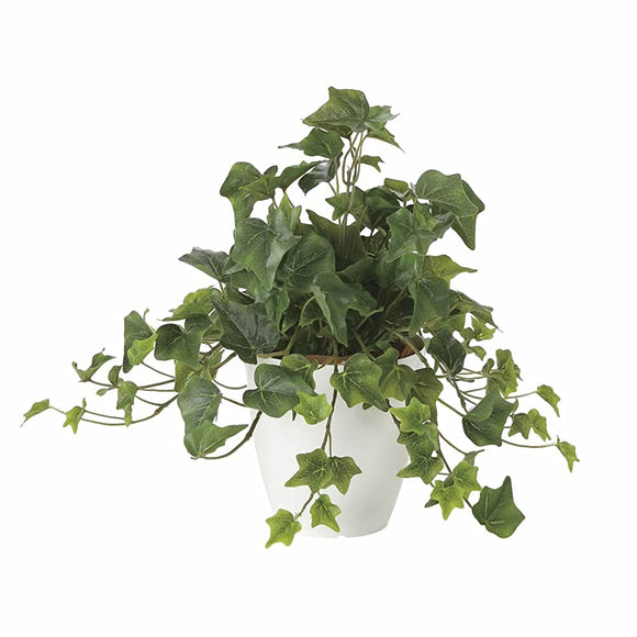 Photocatalyst Artificial Decorative Plants Paradise of Light Fresh Ivy 2251A50