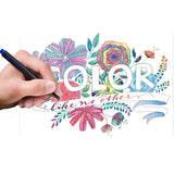 Chameleon Pen Blend Writer 48 Colors Set Brilliant Illustration Pen Set