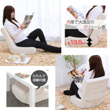 Iris Ohyama Seat Chair Pillow 2way Fluffy Floor Chair Compact Folding Storage Brown ZC-9