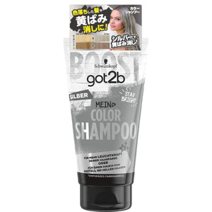 schwarzkopf got2b gottoubi Color Shampoo Silver