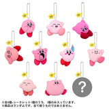 Kirby Star 30th Plush Mini Mascot Box