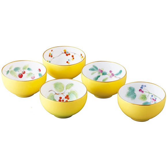 Koransha Yamadayori Tea Cup Set, 5 Pieces, Arita Ware Made in Japan, Hot Water with Tree Nuts Design to Decorate the Four Seasons Scenery, Vibrant and Beautiful Yellow Color, Bright and Gorgeous Atmosphere,