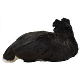 HANSA Border Collie 33.5 x 15.7 x 12.6 Inches Acrylic No.4564