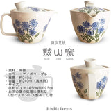 J-kitchens Yama Kiln Teapot with Tea Infuser 8.5 fl oz (240 ml), For 1 to 2 People, Hasami Ware Made in Japan, Nozaka, Blue