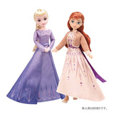 Disney Precious Collection Frozen 2 Dress Set