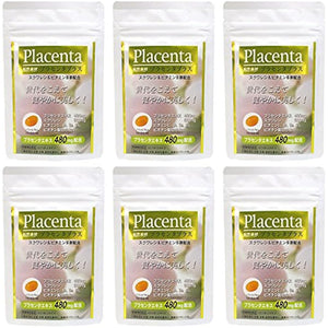 Placenta Plus Squalene and Vitamin E Contains 6 bags of 120 tablets Dainichi Healthy Foods