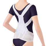 Alphax Posture Supporter, Doctor's Firm Back Belt, L-LL, Made in Japan