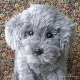 Poseable Toy Poodle Plush Toy (Toy Poodle, Silver)